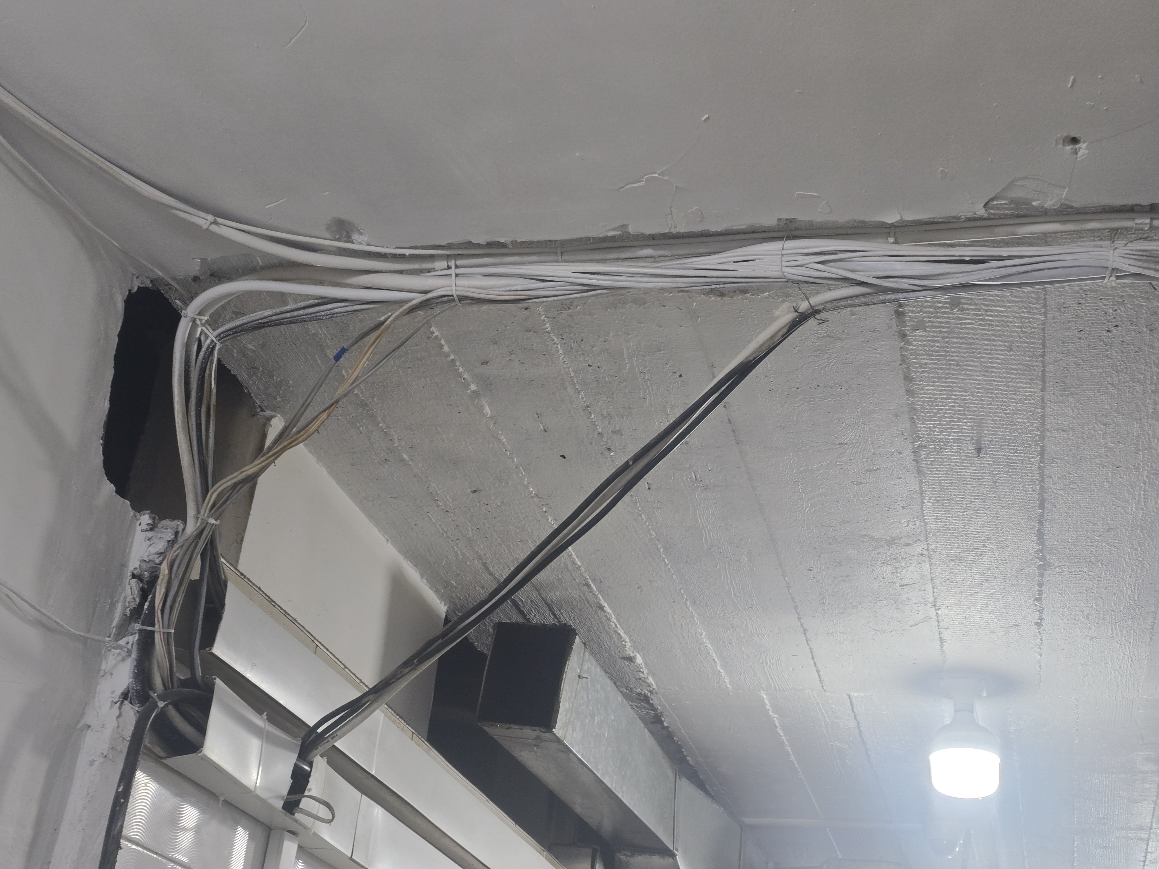 20260316_141527 (2)_1774012799.jpg